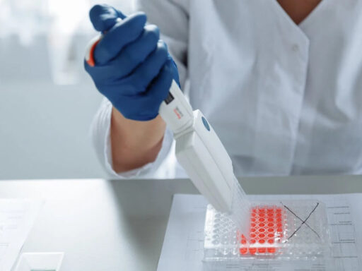 Fluoroquinolones target two bacterial type II topoisomerases - DNA gyrase and topoisomerase IV - enzymes essential for DNA replication and cell division.