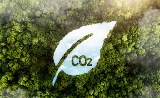 The Business Case For Moving Towards Carbon Neutrality
