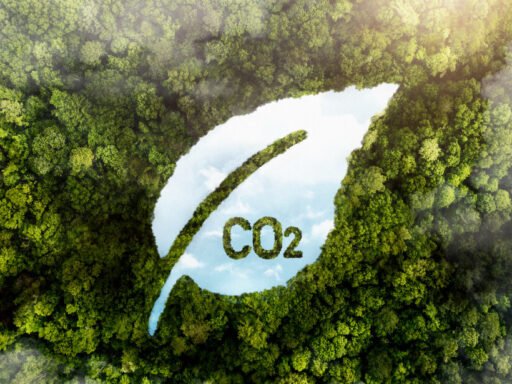 The Business Case For Moving Towards Carbon Neutrality