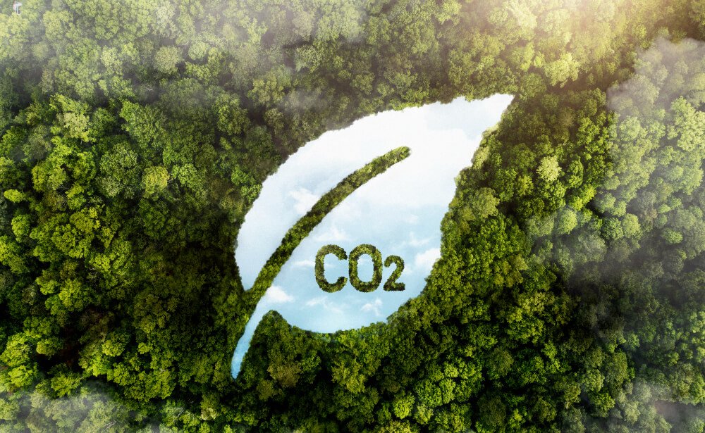 The Business Case For Moving Towards Carbon Neutrality
